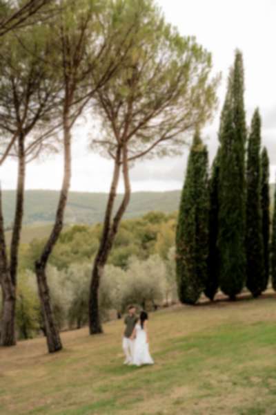 Romantic Surprise Proposal in Tuscany - 6